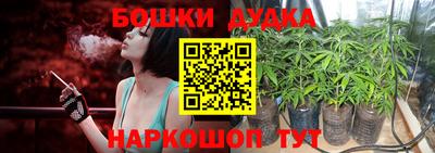 apvp Рузаевка