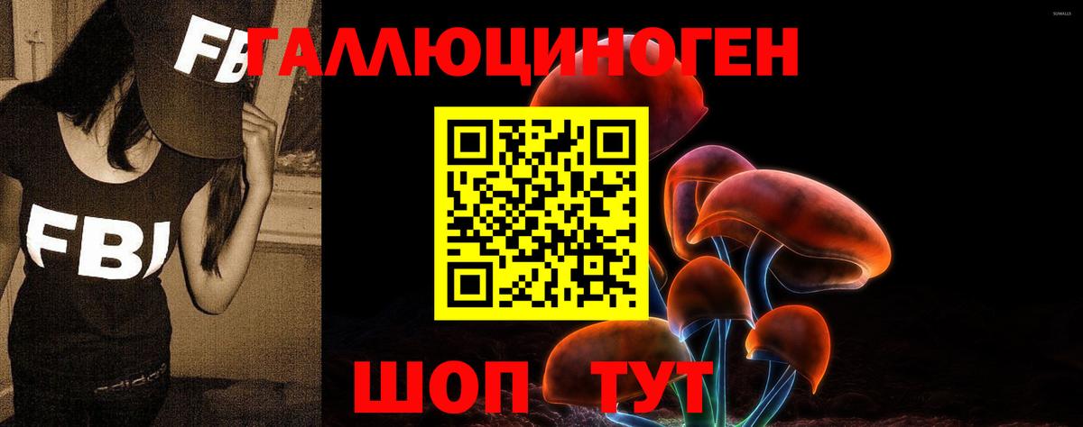 Псилоцибиновые грибы GOLDEN TEACHER  Вход с VPN  Октябрьский  Псилоцибиновые грибы Cubensis 