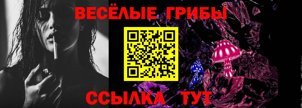 Галлюциногенные грибы Psilocybine cubensis Октябрьский
